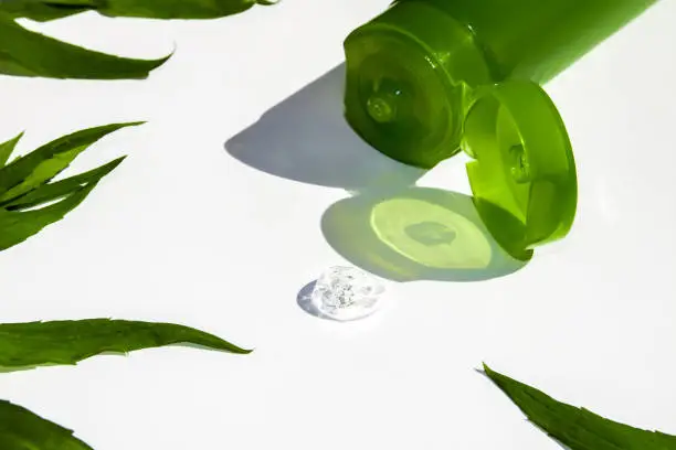 Aloe vera gel with paw print icon aloe vera for soothing dog skin allergies