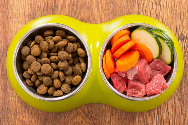 Dog food with salmon, lamb, and duck for allergy-prone dogs Dog food with salmon, lamb, and duck for allergy-prone dogs