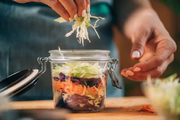 Fermented vegetables as probiotics for dogs Fermented vegetables as probiotics for dogs