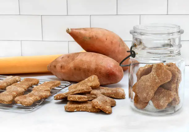 Hypoallergenic dog treats