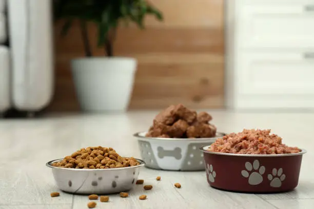 Homemade Dog Food for Skin Allergies: Natural Recipes to Relieve Itchy Skin