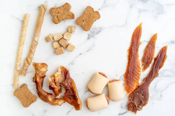 Hypoallergenic Dog Treats: What Ingredients to Look For