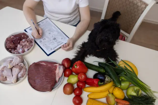 List of ingredients to avoid in hypoallergenic dog treats