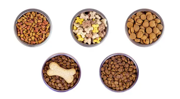 best dog food for allergies